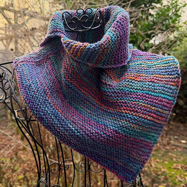 Schalkragen *Puntero*