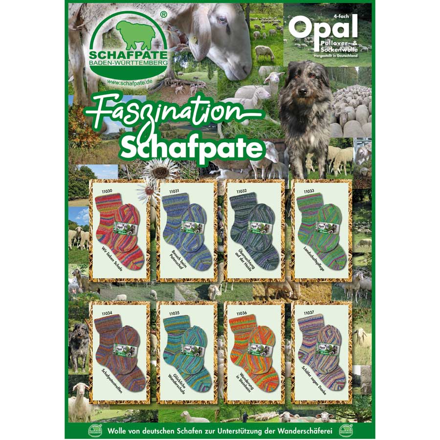 Opal Schafpate 13 - Faszination Schafpate