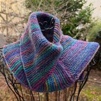 Schalkragen *Puntero*