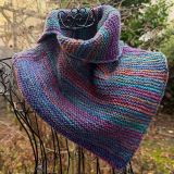 Schalkragen *Puntero*