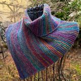 Schalkragen *Puntero*