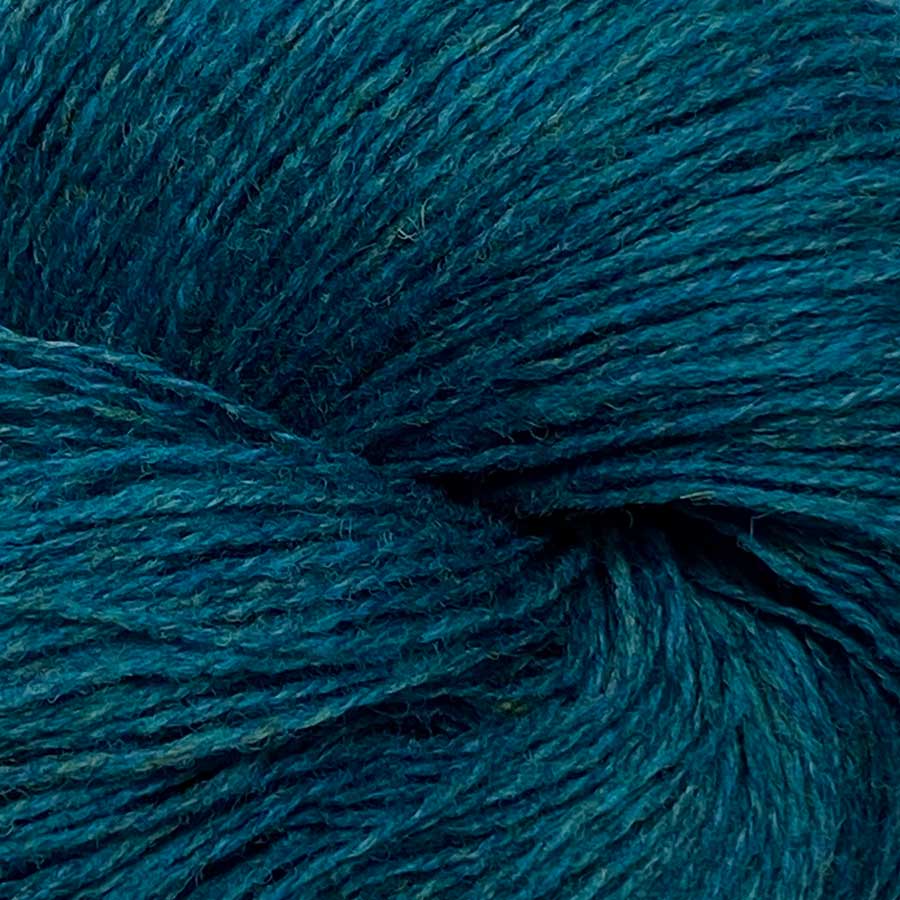 Lambswool Larkspur