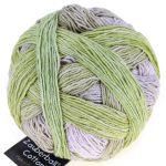 Zauberball Cotton - Junges Gemüse