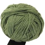 Cashmere Queen - Wald