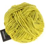Bio Merinos - Senf
