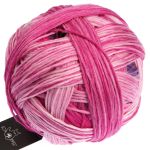 Gradient - Pink Affaire