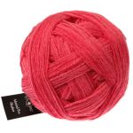 Admiral Pro Shadow - Roter Pfeffer