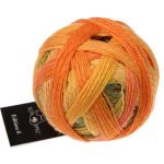 Edition 6 - Katzengold