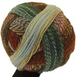 Zauberball Crazy - Flussbett