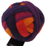 Laceball - Fuchsienbeet
